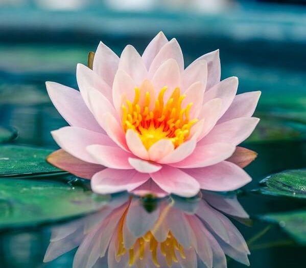 O que é Bhakti Yoga?